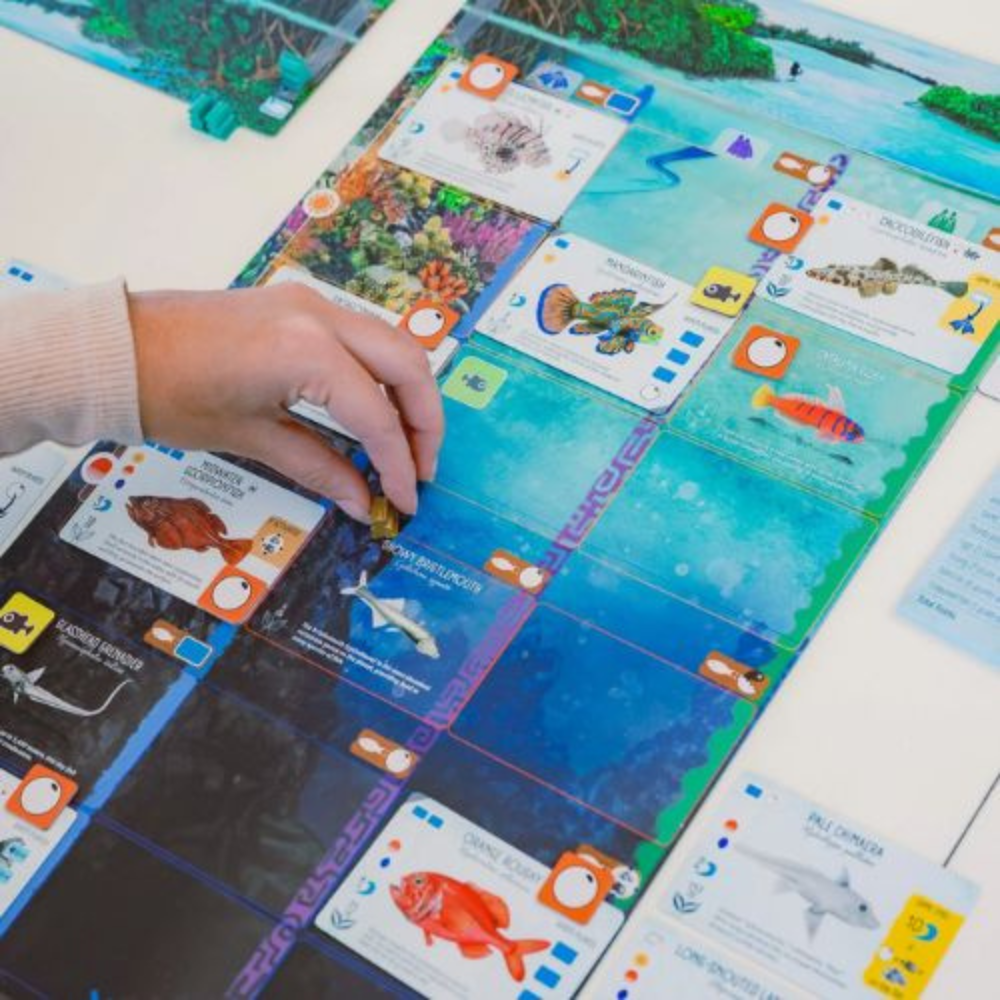Finspan – A Wingspan Game for 1-4 Players, A Strategic Fish-Themed Card Game