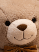 Plush Toy Pillow