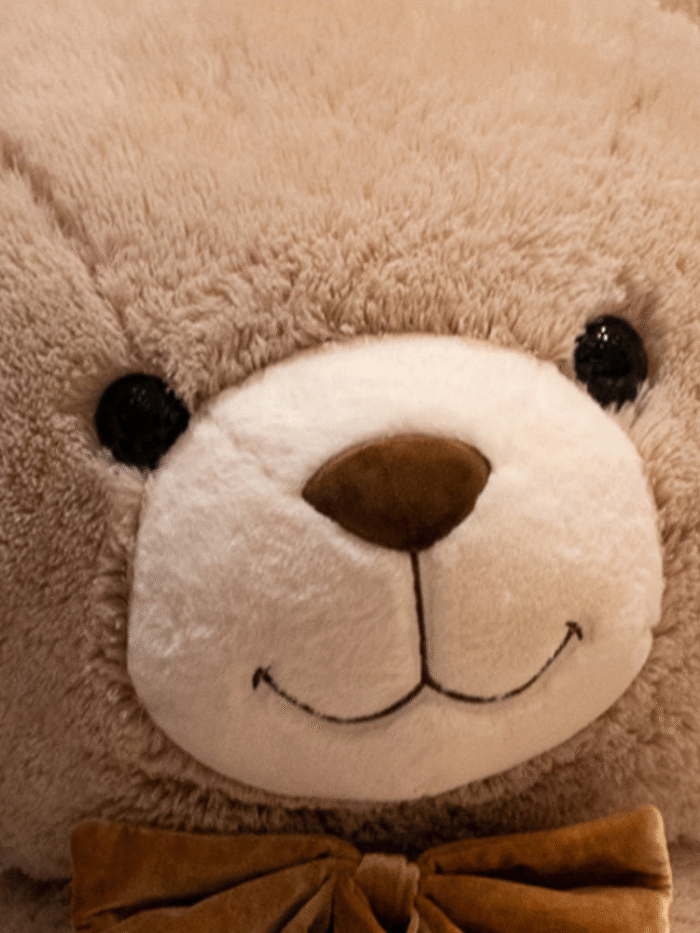 Plush Toy Pillow